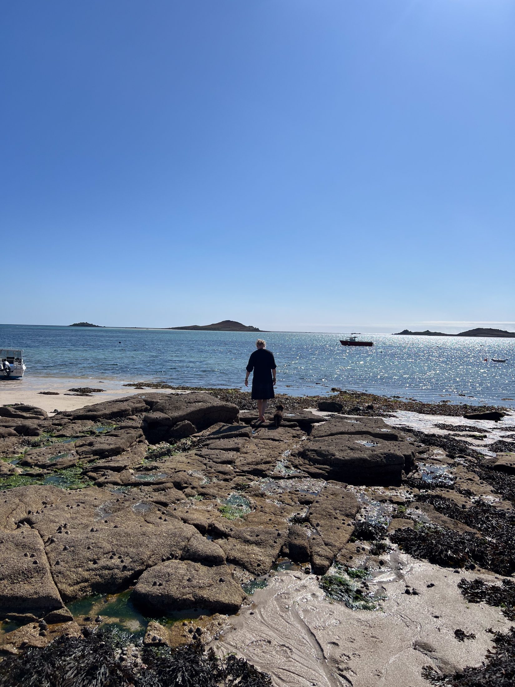 A boy and his dog by the sea